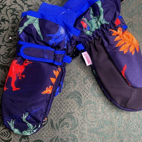 The Children's Place Accessories Nwt Dinosaurs Rainbow Mittens 4t 5t 4 5 Gloves Tcp Poshmark